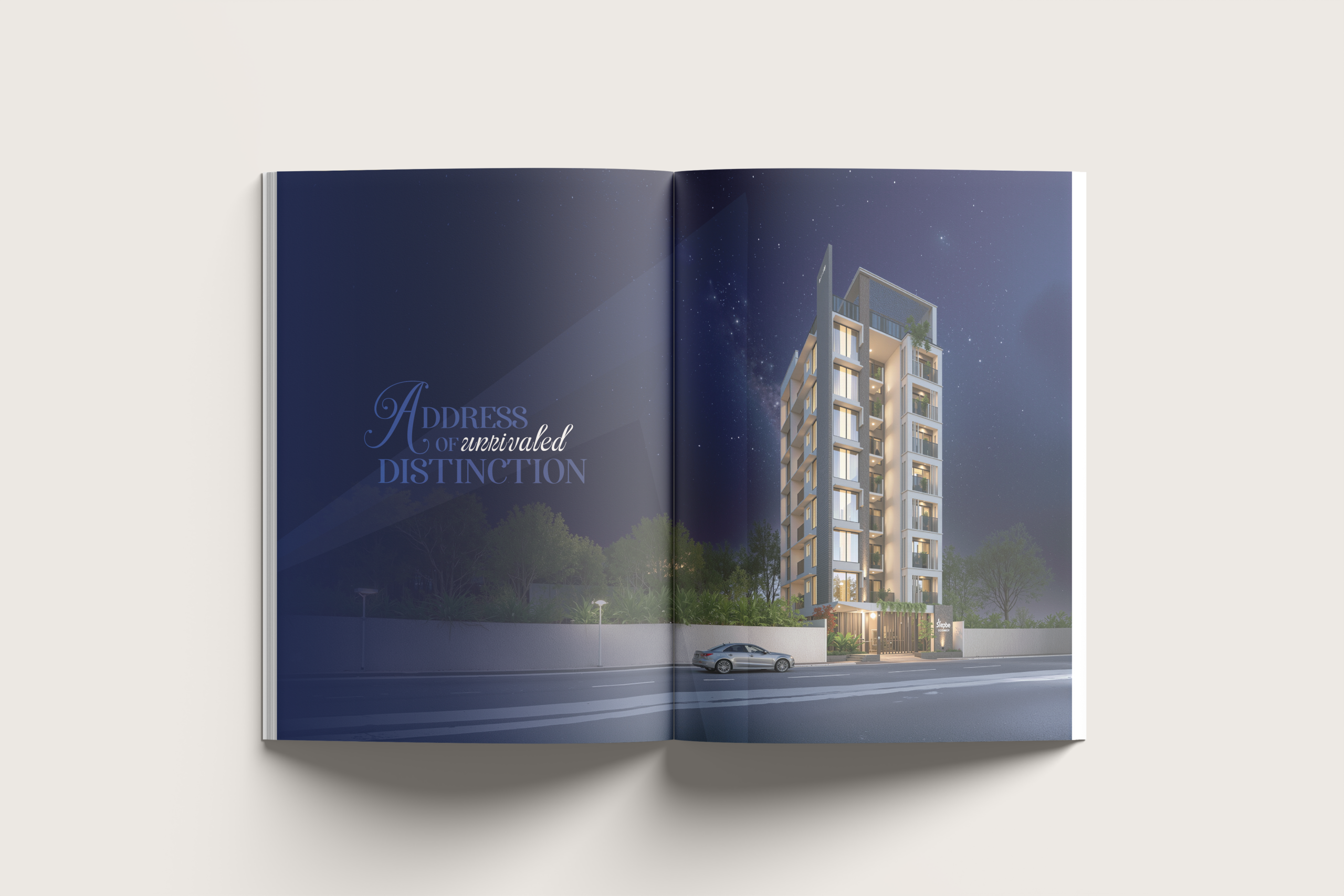 Portfolio Image 4