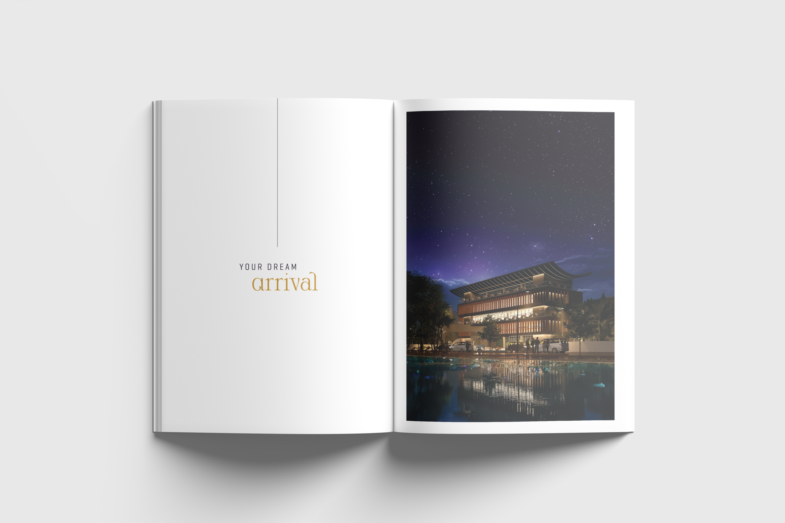 Portfolio Image 3