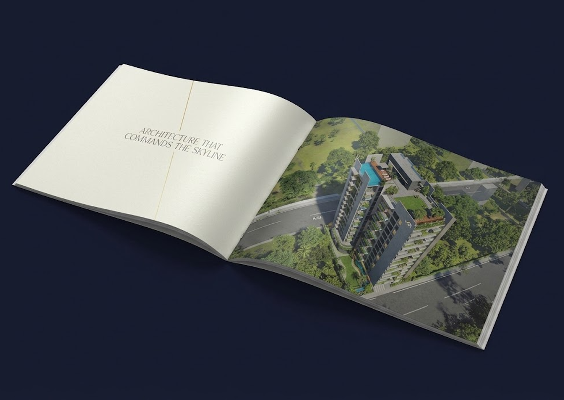 Portfolio Image 2
